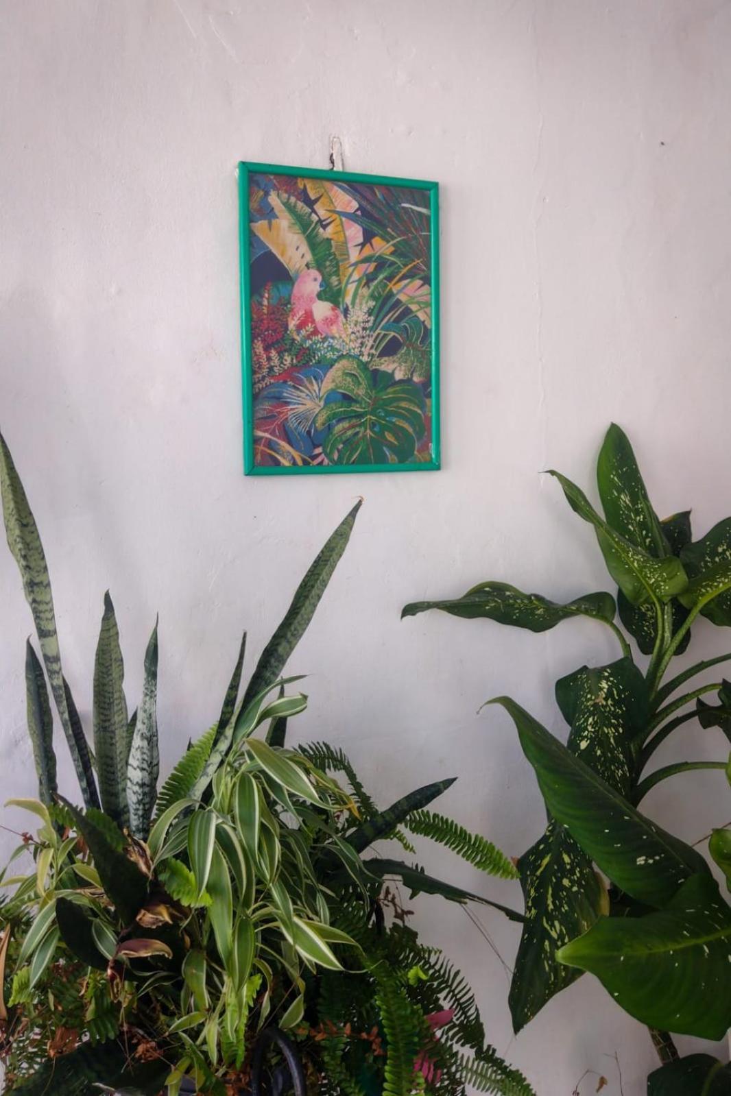 Hostel Residence Girassol Μπελέμ Εξωτερικό φωτογραφία